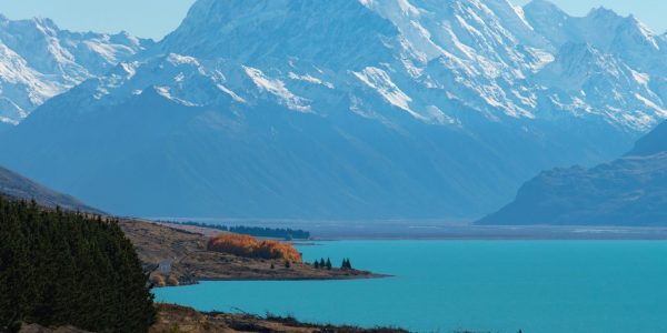 Guidance on travelling to New Zealand